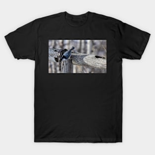 White Breasted Nuthatch. T-Shirt